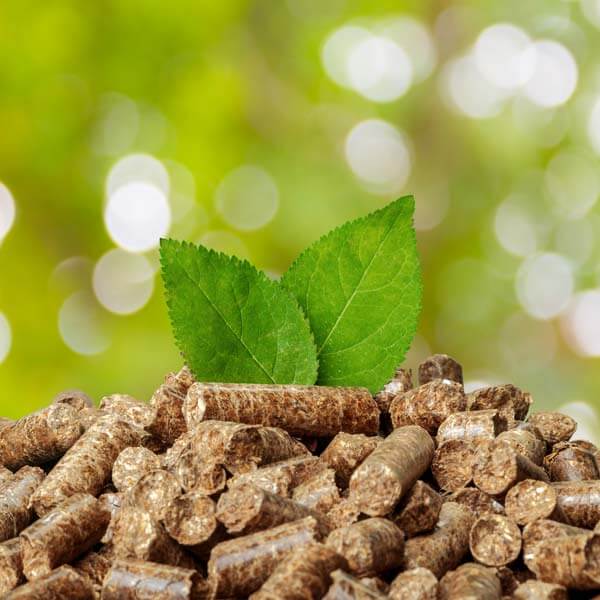 Architettura ecosostenibile - Biomassa