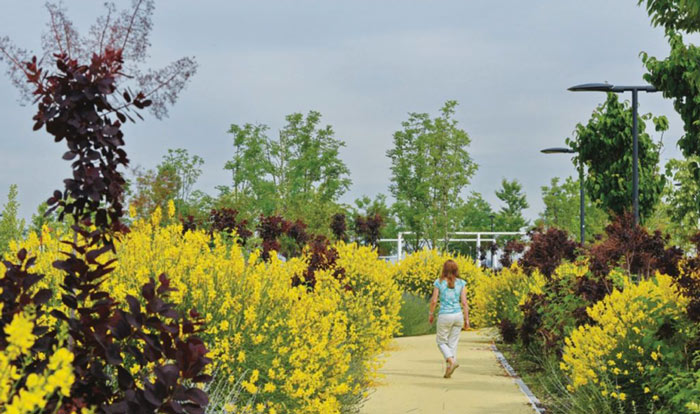 Quartiere Smart District Uptown Milano Parco 01